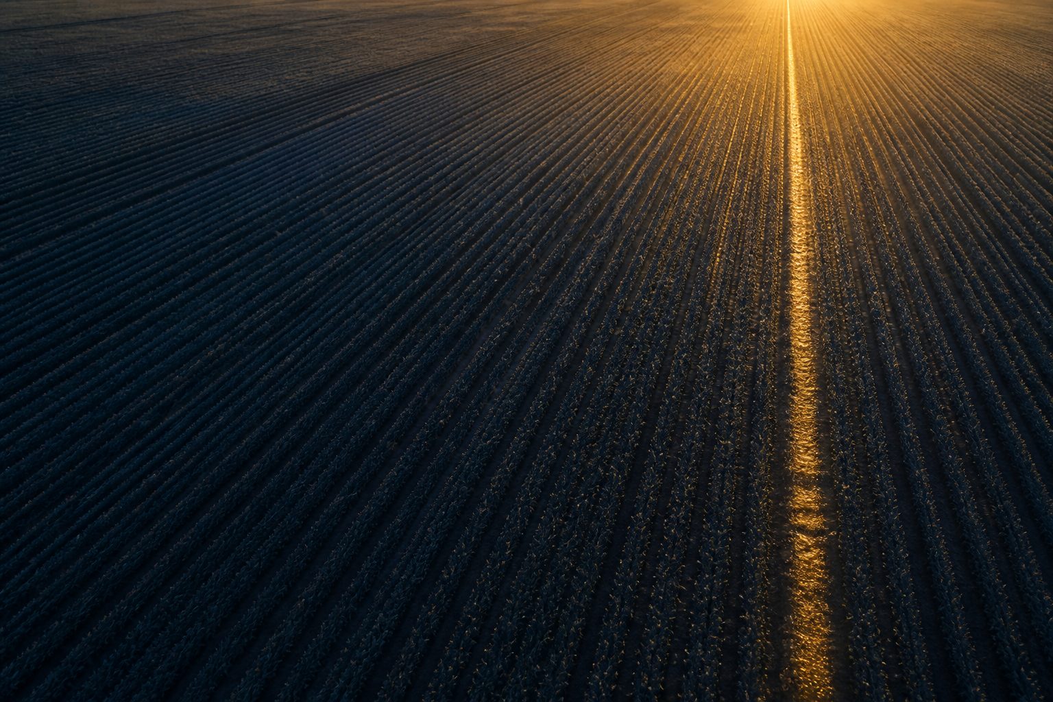 Homestead’s First Ag Credit Fund Closes With a $150 Million Pension Anchor: